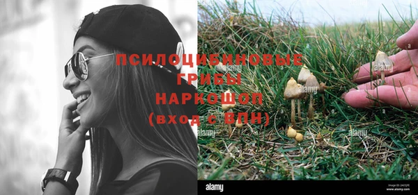 марки lsd Богданович