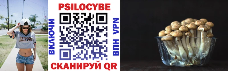 Купить где  Горбатов  Псилоцибиновые грибы ЛСД 